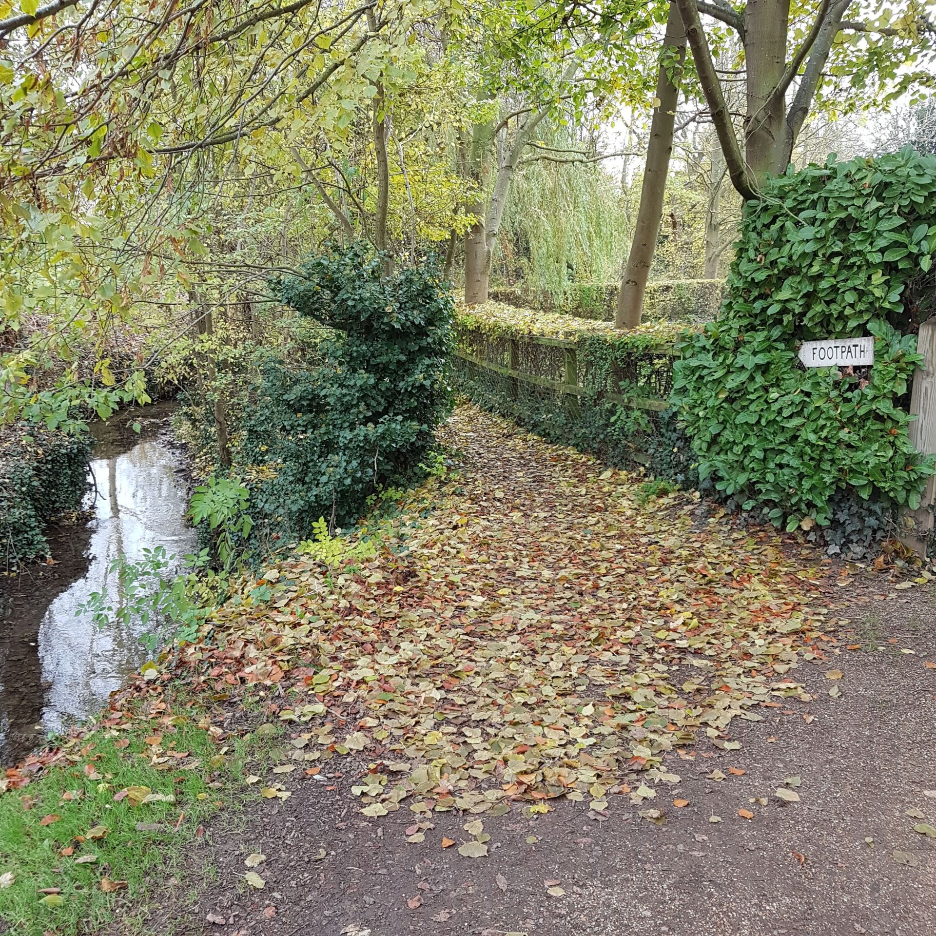 Bridge over a river leading into a wood
